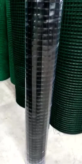 Rete metallica saldata rivestita in PVC da 1/2 pollice