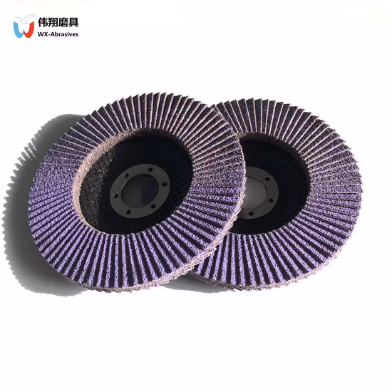 Disco lamellare per disco abrasivo per lucidatura e lucidatura da 5 pollici con 125 utensili